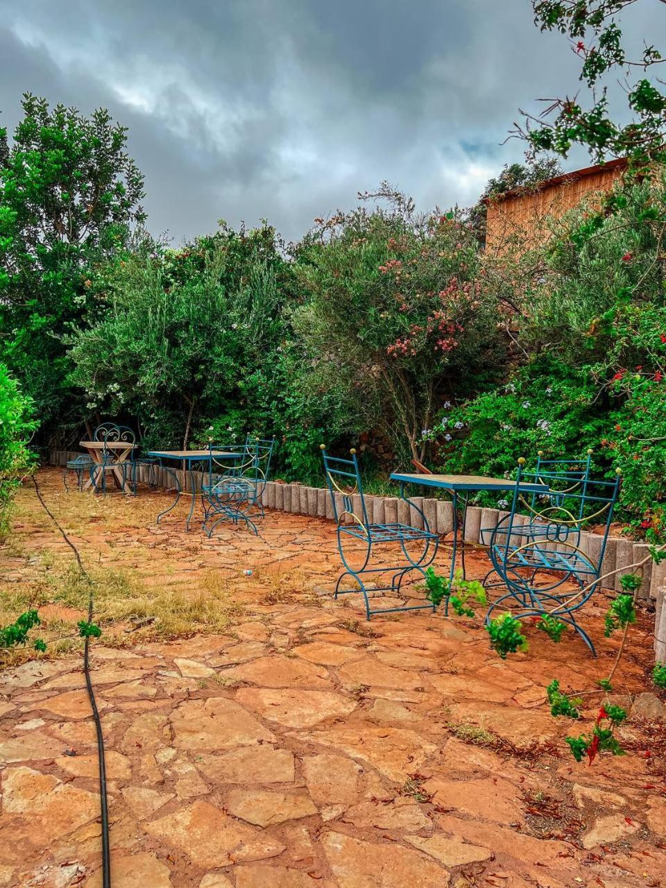 Gite Rurale Sousse Paradis Vallee Tagherat Anekrim الغرفة الصورة