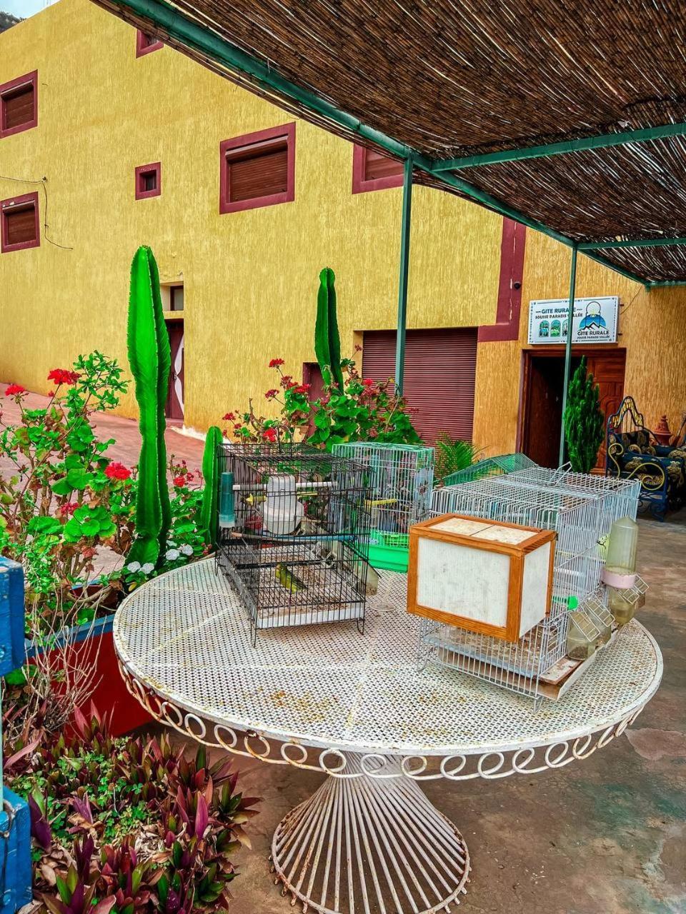 Gite Rurale Sousse Paradis Vallee Tagherat Anekrim المظهر الخارجي الصورة